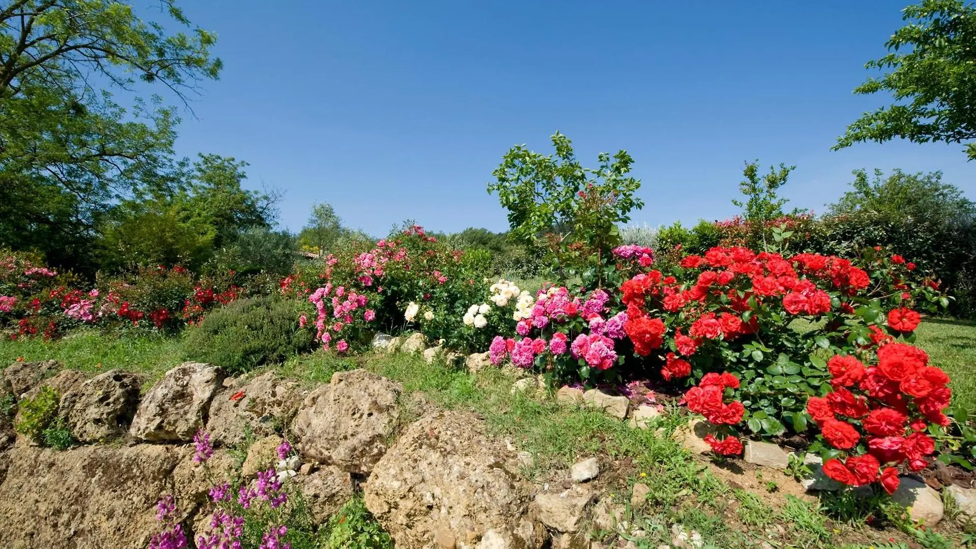Fienile Di Colletalli By Vacavilla Radicondoli Holiday home